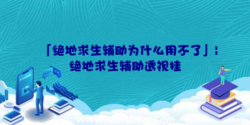 「绝地求生辅助为什么用不了」|绝地求生辅助透视挂